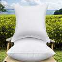 20 x 20 Outdoor Throw Pillow Inserts Set of 2 Waterproof Square Premium Decorative Couch Pillow Stuffers Form Large White Sofa Cushions Indoor