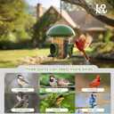 LONA Bird Feeders for Outdoors Hanging 3 Separate Compartments, 3 Feeding Ports, Weatherproof Dome & 3 Ways to Hang, Large Capacity for Cardinals/Finches (Green