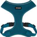 Best Pet Supplies Voyager Aerolite No Pull Mesh Dog Harness, Reflective Stitching, Breathable Harness, Adjustable for Walking, Training, Running, Heavy Duty and Durable, Turquoise, L (L (Chest: 20 - 25"))