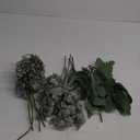 Winlyn 20 Pcs Mixed Artificial Oval Eucalyptus Leaves Bulk with White Seeds Stems and Spray for Vase Floral Wreath Bouquets Wedding Greenery Decoration