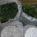 4 Pack Small Fake Plants, Artificial Plants Indoor for Home Decor, Small Faux Plants Indoor, Fake Plants in White Pot for Bathroom Bedroom Kitchen Office Farmhouse Room Shelf Decor