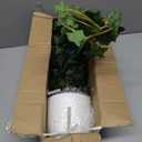Hollyone Artificial Hanging Plants Potted 31.4" Fake Ivy Vine Faux Ivy Leaves Hanging Greenery Plant in White Pot for Home Indoor Wall House Room Patio Shelf Office Decor