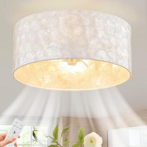 Boho Coastal Ceiling Fan with Lights and Remote, Enclosed Caged Design with Shell Lampshade Fandelier for Bedroom, Nursery, Foyer, Kitchen (6 Speeds)