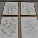 Drsoum Botanical Plant Framed Wall Art Boho Wall Decor for Bathroom Sage Green Eucalyptus Leaf Prints Minimalist Aesthetic Ready to Hang Set of 4, 8x10 in (Natural Framed)