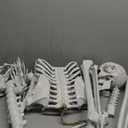 5.4ft Halloween Posable Skeleton Realistic Life Size Human Skeleton Bones with Movable Joints for Halloween Haunted House Indoor Outdoor Dcor (1Piece)