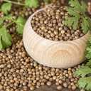 2 x Seeds Coriander Cilantro Heirloom Herb Non GMO