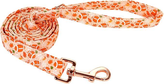Easter Dog Leash Durable Handmade Dog Leashes with Soft Handle Manual Dog Leashes Matching Carrot Dog Collars for Small Medium Large Dogs M Lenth 150cm