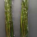 KOL 4ft Artificial Horsetail Grasses (2-Pack) - 47.2in Tall Realistic Faux Plants for Indoor Outdoor, Potted Fake Grass Decor for Home Office Wedding, Low Maintenance Houseplant Gift (Green)