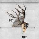 Skull Hooker  European Deer Skull Mount Hanger  Multi-Angle Adjustable Euro Deer Skull Mount  Medium Skull Hook with Screws  Skull Mount for Hanging Antelope, Cattle, Coyote and Small Game Animals