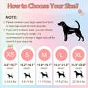 Ambreview Disposable Dog Diapers Female, Just Pull It Up, Doggie Diapers for Female Dogs, Strong Absorbency | Leak Proof, for Dogs in Heat | Elderly | Disabled, M 30 PCS