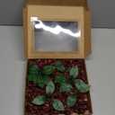 Ling's moment Burgundy Artificial Gardenia Flowers, 25pcs, 2.7" Gardenias for DIY Wedding Decor, Bouquets, Centerpieces, Bridal Shower Floral Arrangements