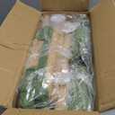 PETEPELA Cactus Cat Tree for Indoor Cats, 32'' Small Cat Tower Cat Condo with Sisal Scratching Ramp, Cozy Hammock and Removable Top Bed Perch for Kittens, Green