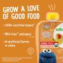 Earth's Best Organic Yogurt Smoothie Pouches, 24+ Months, Fruit Yogurt Smoothie for Toddlers 24 Months and Up, Banana Peach, 4.2 Ounce Resealable Pouch (Pack of 12) (EXP 01/15/27)