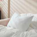 Goose Feather Down Pillows Standard Size Set of 1, Soft Pillows with 100% Organic Cotton Fabric, Luxury Hotel Quality Bed Pillow 1 Pack for Sleeping, Breathable & Fluffy (20" x 26")