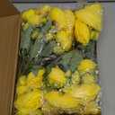 8 Pack Yellow Peonies Artificial Flowers, Fake Silk Hydrangea Bouquet for Bridal Wedding Home Table Decor Reusable Dining Opening Ceremony Birthday Arrangement Faux Floral