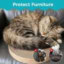 2Pcs Round Cat Scratcher Refill, 10 Inch Diameter Cardboard Cat Scratching Board Circle Replacement Pads for Indoor Cat Toy