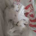 HOTEEL 10x30 Party Tent Outdoor Canopy Tents for Parties with 8 Removable Sidewalls, Carpas para Fiestas Waterproof for Gazebo Large Backyard Shelter Patio Wedding Events BBQ (white)