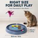 Interactive Cat Ball Track Toy Cat Scratcher, Grey