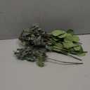 10 Pcs Mixed Eucalyptus Leaves Stems Bulk Artificial Silver Dollar Picks Faux Branches for Vase Bouquets Floral Arrangement Wreath Farmhouse Rustic Greenery Decor