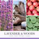 2 x Graduation Gifts for Her, Him, 9oz Aromatherapy Lavender Scented Soy Wax Candle, Funny College, 2026 Graduation Gifts for Masters Degree, PhD, High School, Nurse, Law School, Grad Candle