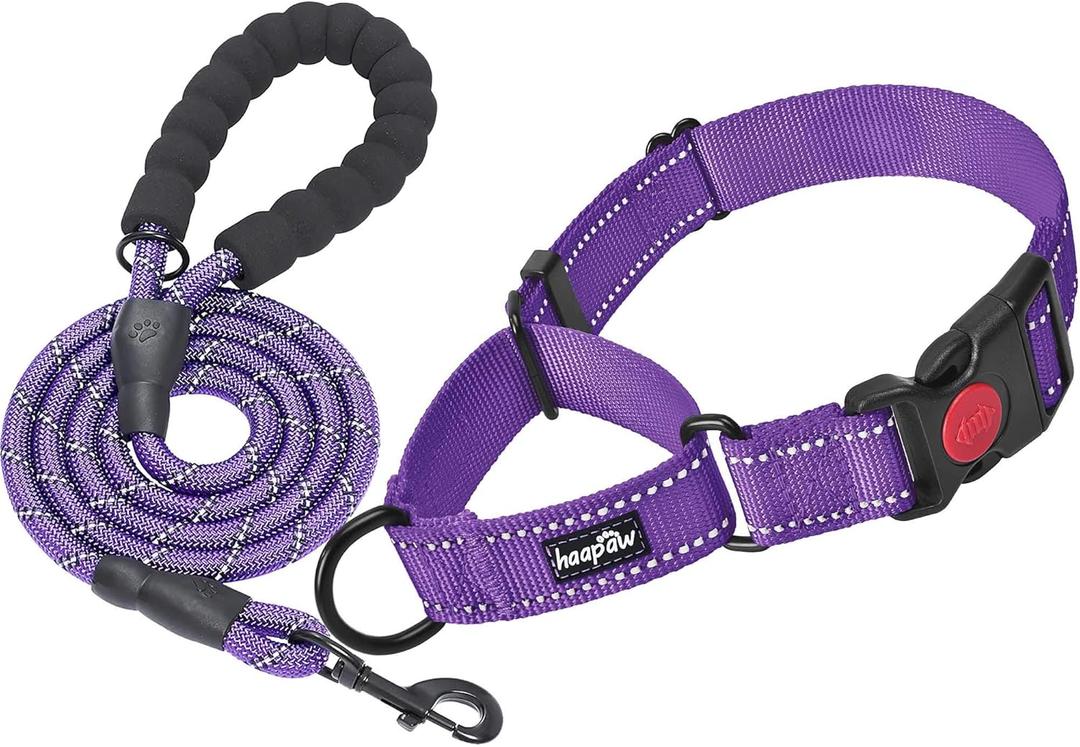 haapaw 2 Packs Martingale Dog Collar with Quick Release Buckle Reflective Dog Training Collars for Small Medium Large Dogs