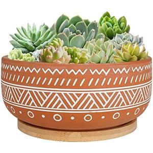 Thirtypot 8 Inch Large Round Terracotta Succulent Planter Pot with Drainage Hole and Saucer, Shallow Bonsai Pot for Indoor Plants Has Crack
