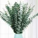 20 Pcs Preserved Dried Eucalyptus Stems, 17" Natural Fresh Eucalyptus Branches for Shower, Real Plant for Vase Filler, Dried Flowers Arrangement, Floral Home Decor