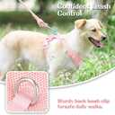 No Pull Dog Harness for Small Medium Large Dogs - Adjustable 2 Layer Mesh Dog Vest with Dual Clip, Escape Proof, Quick Release, Lightweight Breathable Mesh for Walking Hiking (Light Pink,S)