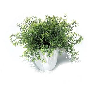 WHW Whole House Worlds Realistic Faux Baby Thyme, Potted Plant, Houseplant, Kitchen, Lushly Leafed, White Pot, Plant Diameter is 6 Inches, Height is 9 3/4 Tall, Greenery