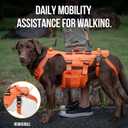 OneTigris Dog Lift Harness for Large Dogs, Dog Hip Support Brace, Full Body Dogs Lifter with Handles Invictus Multifunctional Mobility Assistance Vest for Back Legs