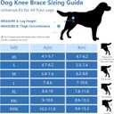 Dog Knee Brace for Torn Acl Hind Leg - Adjustable Stabilizing Support for Ccl Injury, Luxating Patella, Hind Leg Pain & Arthritis - Rear Leg Limp Support, 3XL