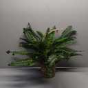 Nearly Natural Boston Fern Hanging Basket (29 x 29 x 29, Green)