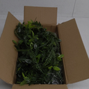 6 Pack 5.57ft Artificial Greenery Garland, Leaf Garland for Room Decor, Garlands for Decoration, Fake Vines Hanging Plants for Home Bedroom Garden Wall Wedding Decor-042 (042-6 Pack)