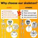 5.4FT Full Size Halloween Skeleton, Life Size Posable Skeleton with Glowing Eyes Scary Sound, Plastic Skeleton with Movable Joints for Halloween Decoration