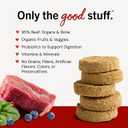 Stella & Chewy's Freeze-Dried Raw Dinner Patties - Beef Recipe - High Protein Grain-Free Puppy & Dog Food - Perfect For Picky Eaters - 14 oz (EXP 10/20/27)