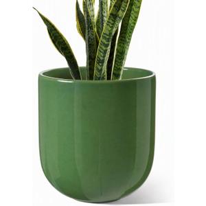 LE TAUCI 10 Inch Plant Pot, Ceramic Pots for Plants, Bamboo Green