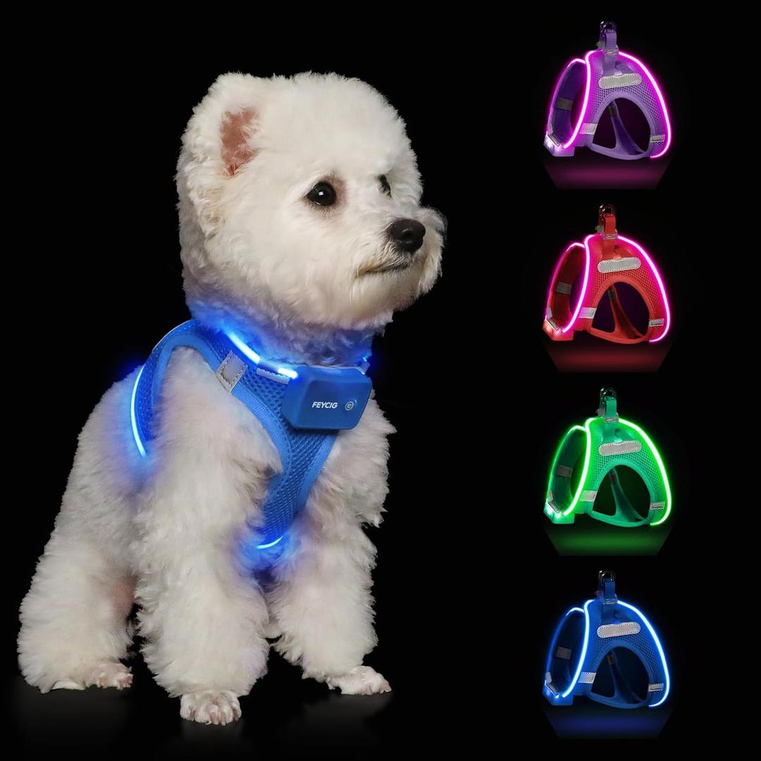 Light Up Dog Harness,Rechargeable LED Dog Harness for Small Medium Large Dogs,Reflective Lighted Safety Vest for Night Walking & Camping,Lightweight & Adjustable,Sky Blue,S