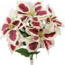 Admired By Nature 5 Stems Artificial Poinsettia Bouquet Fake Christmas Flower, Faux Velvet Poinsettia Christmas Bush for Home Decor, Holiday Bush, Indoor Floral, Christmas Cemetery Flowers, White/Red (Peppermint Crme)