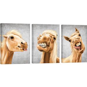 Apicoture Funny Farm Animal Horse Canvas Wall Art Whimsical Horse Decor for Home Vibrant Horse Pictures Wall Decor 12"x16"x3