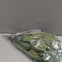 WILLBOND 50 Pieces Artificial Eucalyptus Leaf Stem Long Oval Eucalyptus Artificial Greenery Leaves for Wedding, Holiday, Garden, Home, Office, Greens Decor