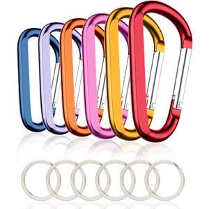 CampTek Carabiner Caribeaner Clip,3" Large Aluminum D Ring Shape Carabeaner with Keyring Keychain Hook