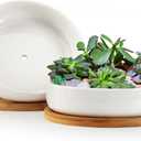 ZOUTOG Succulent Pots,6 Inch Succulent Planters with Drainage and Tray,White Ceramic Planters for Indoor Plants,Round Shallow Flower Plant Pots,Pack of 2 (6.14*1.57 inches)