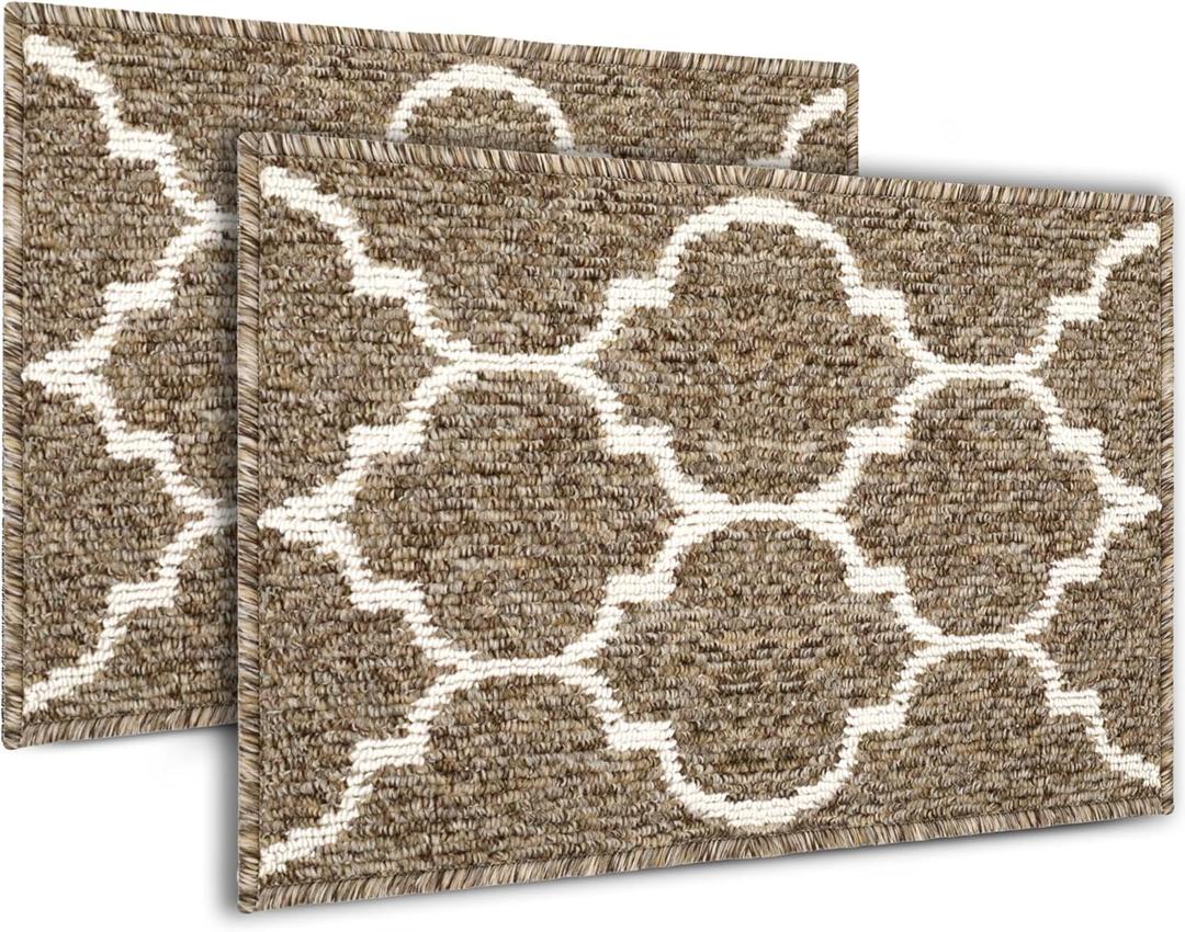 Emerson Door Mat Indoor Entrance, Indoor Doormat, Front Door Mat Indoor Entrance Rugs, Absorbent Door Mat Indoor, Entryway Rug, Dog Door Mat, Inside Doormat for Dogs Muddy Paws, 24” x 16” – 2 Pack