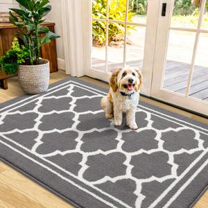 Buganda Indoor Door Mat, Dirt-Resistant and Absorbent Doormat, Anti-Slip, Low Profile Floor Mats for Inside Entryway, Front, and Back Door Entrance (40x32 Inches, Grey)