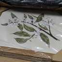 Baccone Vintage Botanical Wall Art Set of 6 Neutral Floral Canvas Wall Decor Wildflower Wall Art Watercolor Flower Prints Botanical Poster Minimalist Plant Pictures for Bedroom Room 12x16 Inch Framed