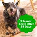 Greenies Veterinarian-Recommended Adult Natural Dental Dog Treats Petite Size, Dog Dental Chews, Original Flavor, 54 oz. Pack, 90 Count (EXP 07/28/27)