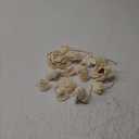 Waydress 15 Pieces Diffuser Mixed Sola Flowers Natural Material Aromatherapy Reed Wood Flowers Decorative Aromatherapy Flower Placement Refill Wood Flower Diffuser with Rope(White,Various)