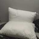 Casper Original Pillow for Sleeping, Standard, White, Two Pack