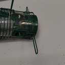 Kingsyard Squirrel Proof Bird Feeders for Outdoors with Weight-Activated Perches, 3 Lbs Capacity Large Metal Bird Feeder for Small Wildbirds Finch Cardinal Bluebird, Weatherproof, Green