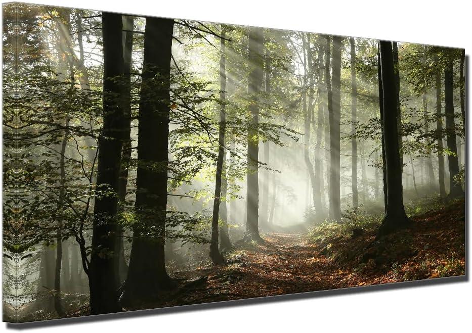 Misty Forest Canvas Wall Art Foggy Mountain Landscape Large Artwork Office Decorations Nature Trees Plant Picture for Meeting Room Lounge Living Room Wall Decor 24x48inch Framed